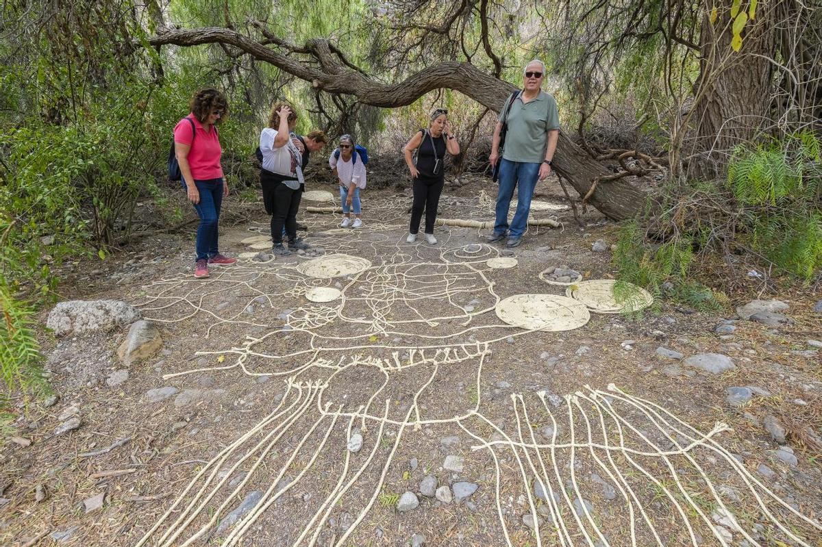 Paseo por el barranco con la nueva app Kleos Guiniguada Paseo por el barranco con la nueva app Kleos Guiniguada