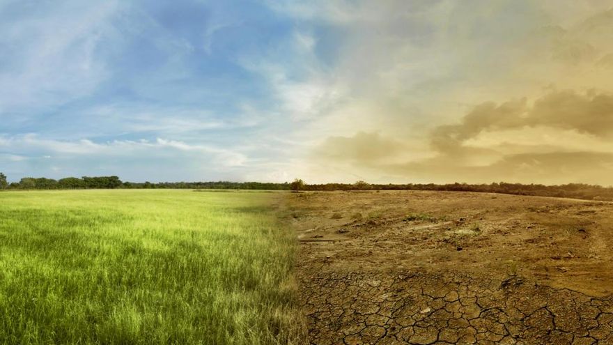 El clima de África cambió de húmedo a muy seco.