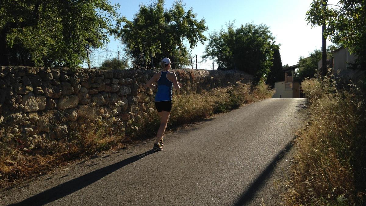 Dos de los cuatro chalets legalizados están en Establiments.