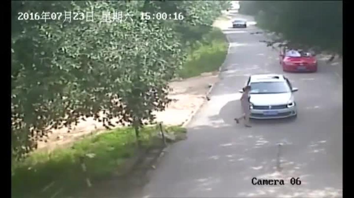Una mujer muere y otra resulta herida tras el ataque de varios tigres en un safari en China.