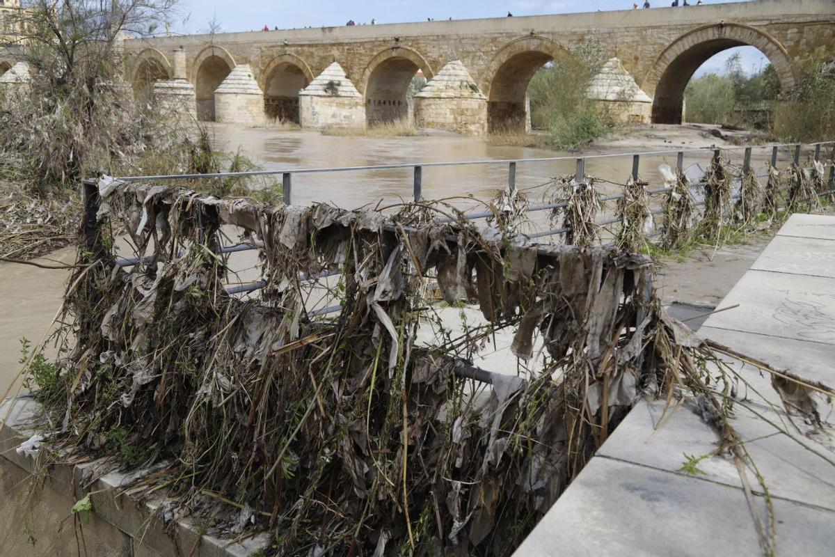 El Ayuntamiento de Córdoba empezará el lunes la limpieza de las zonas afectadas por las lluvias