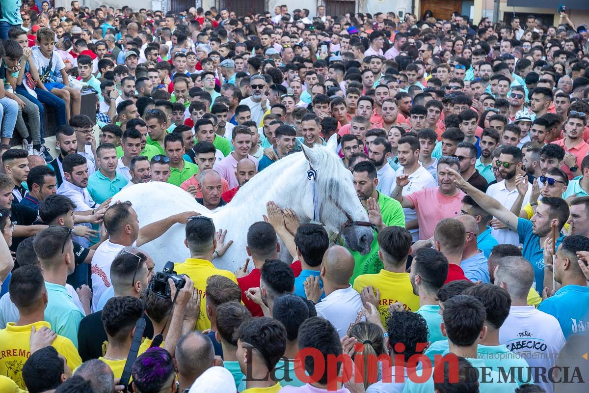 Entrega de premios del concurso morfológico de los Caballos del Vino de Caravaca