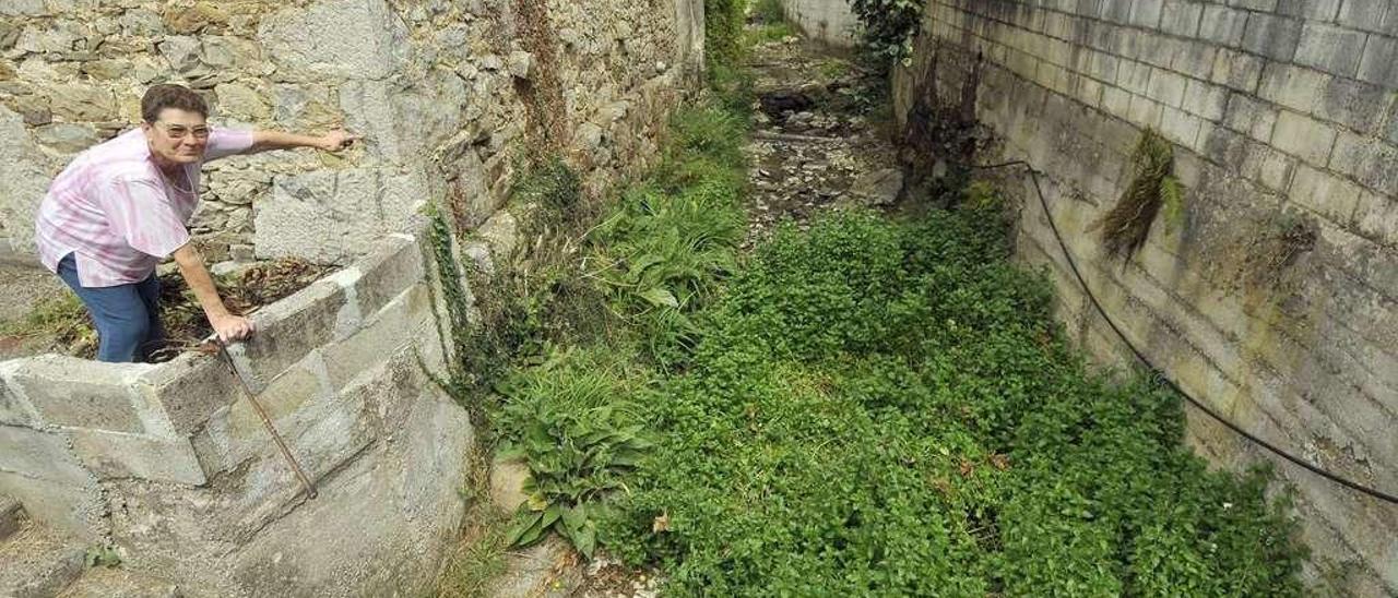 Josefa García Mejido muestra el riachuelo del que surge el mal olor durante el verano en el pueblo de Llanos.