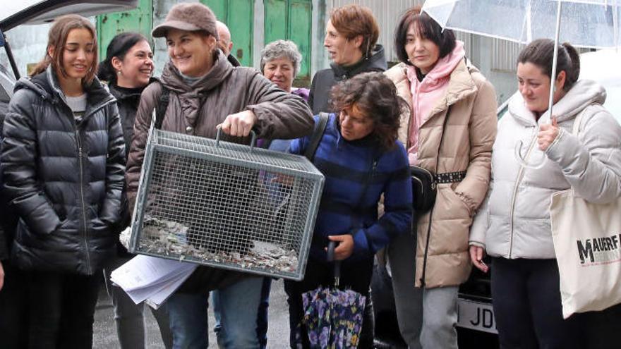 'Operación Rescate' de gatos por el derribo de la nave de Cordelerías