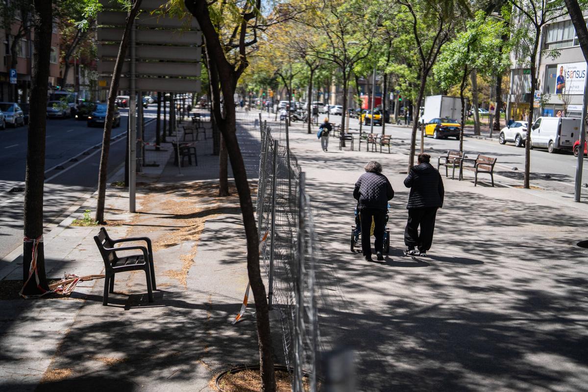 Barcelona. 16/07/2026 Sociedad. Tramo con grietas y vallado en la Rambla Guipúscoa a causa de un hundimiento subterráneo, pendiente de una próxima reparación. En el mismo punto también se aprecia una larga grieta en la calzada en sentido Besòs. Foto: Zowy Voeten / El Periódico