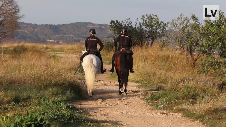 VÍDEO: Búsqueda del hombre desaparecido en Xàtiva