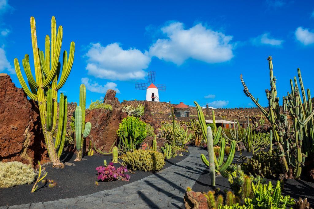 El Jardín de los Cactus es una de las construcciones más bellas y curiosas de Manrique