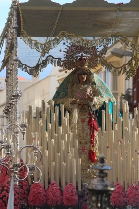 Domingo de Ramos de 2016 | Dulce Nombre