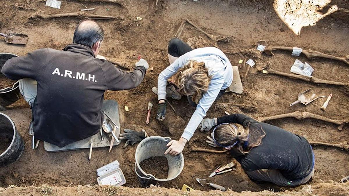 Voluntarios de la ARMH, durante la exhumación de una fosa del franquismo. |   // ÓSCAR RODRÍGUEZ