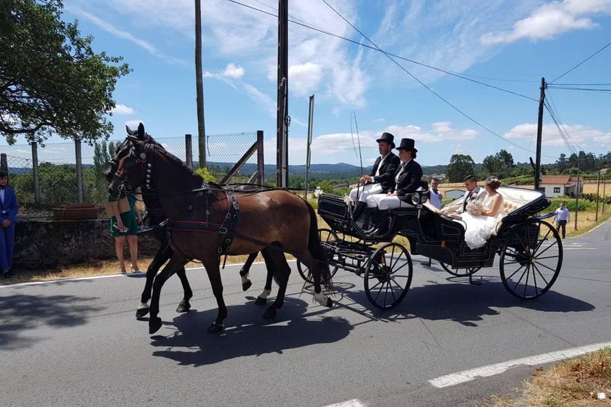 Diego Souto pasea en un coche de caballos a una pareja de recién casados.