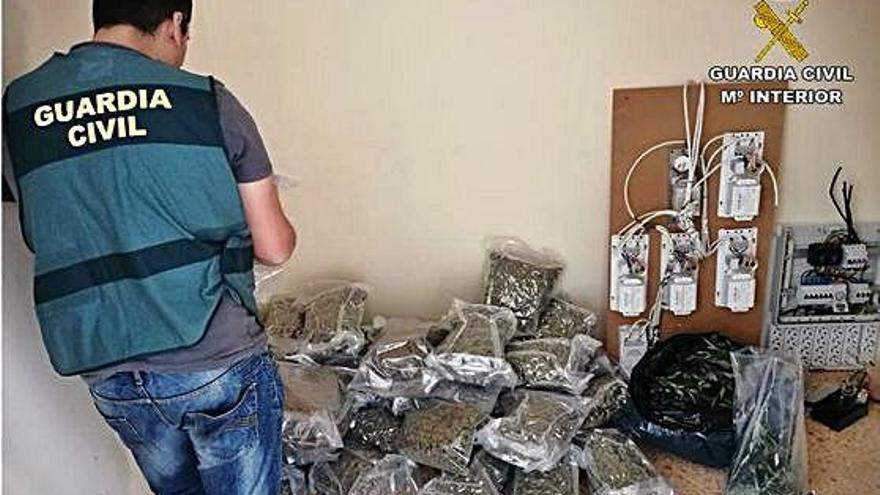 Un guardia civil junto a la marihuana envasada que fue incautada en l&#039;Alfàs.