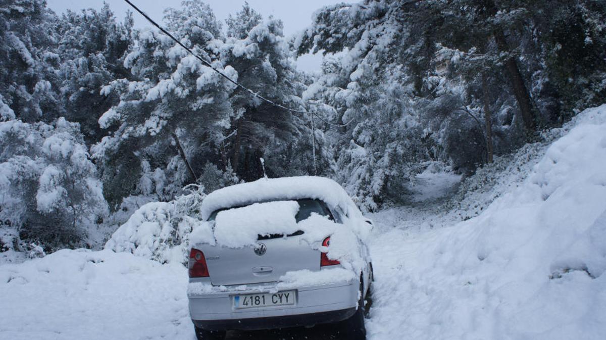 Se cumplen 14 años de la gran nevada en Mallorca de febrero de 2012, la segunda más importante de la historia