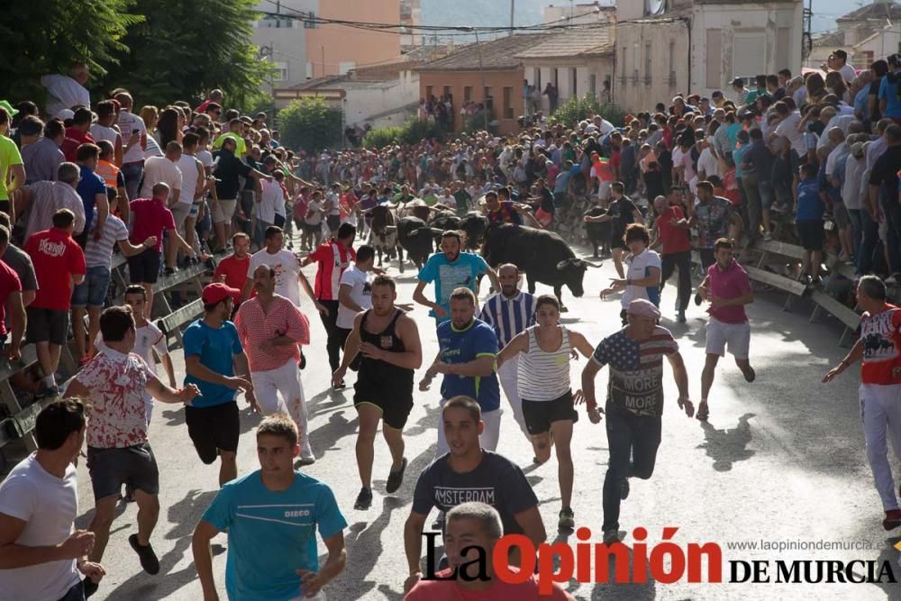 Segundo encierro de Calasparra