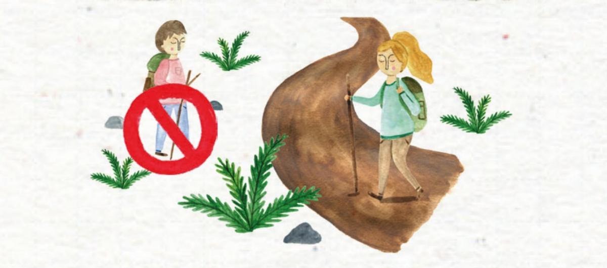 Prohibiciones en las islas Cíes.