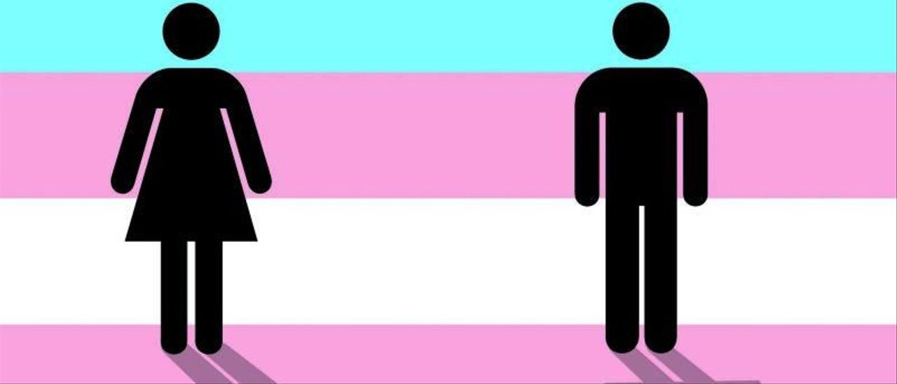 Guía sobre la Ley Trans