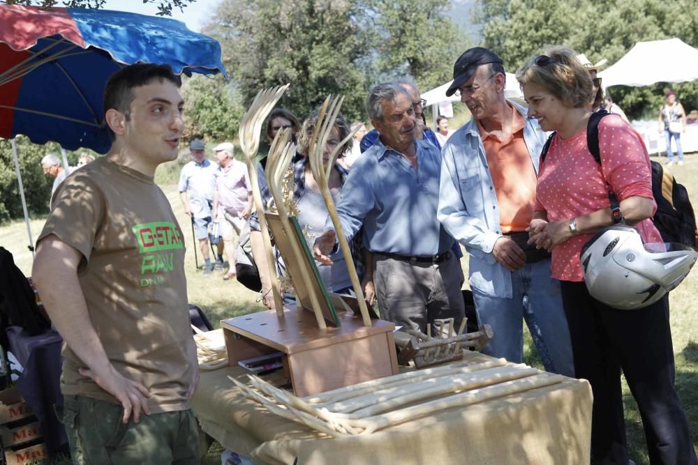 Festa del Segar i el Batre a Avià