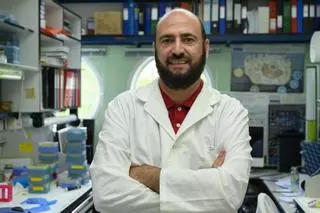 Una vacuna desarrollada por el CSIC contra el covid protege de la infección en el cerebro