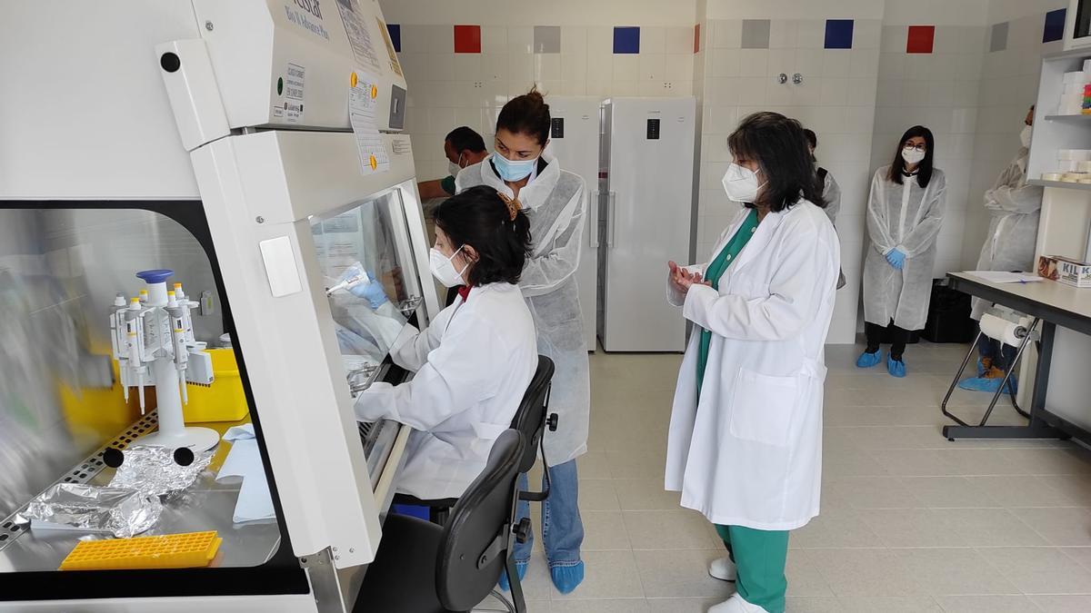 Clara San Damián, durante la visita al laboratorio