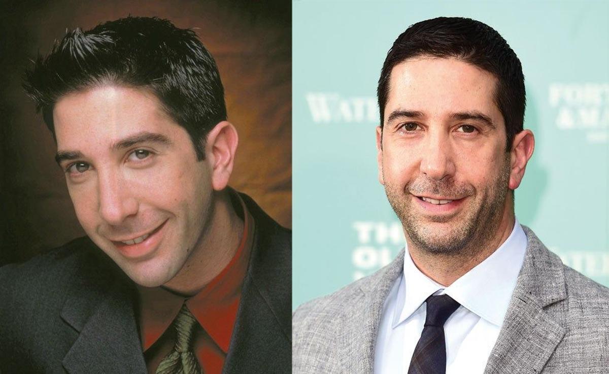 David Schwimmer, un actor muy versátil