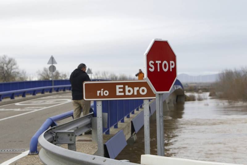 Fotogalería de la crecida del Ebro