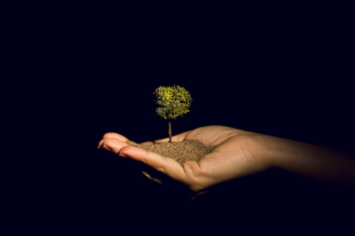 An-Ki recrea l'imaginari que crea una xiqueta davant el canvi climàtic