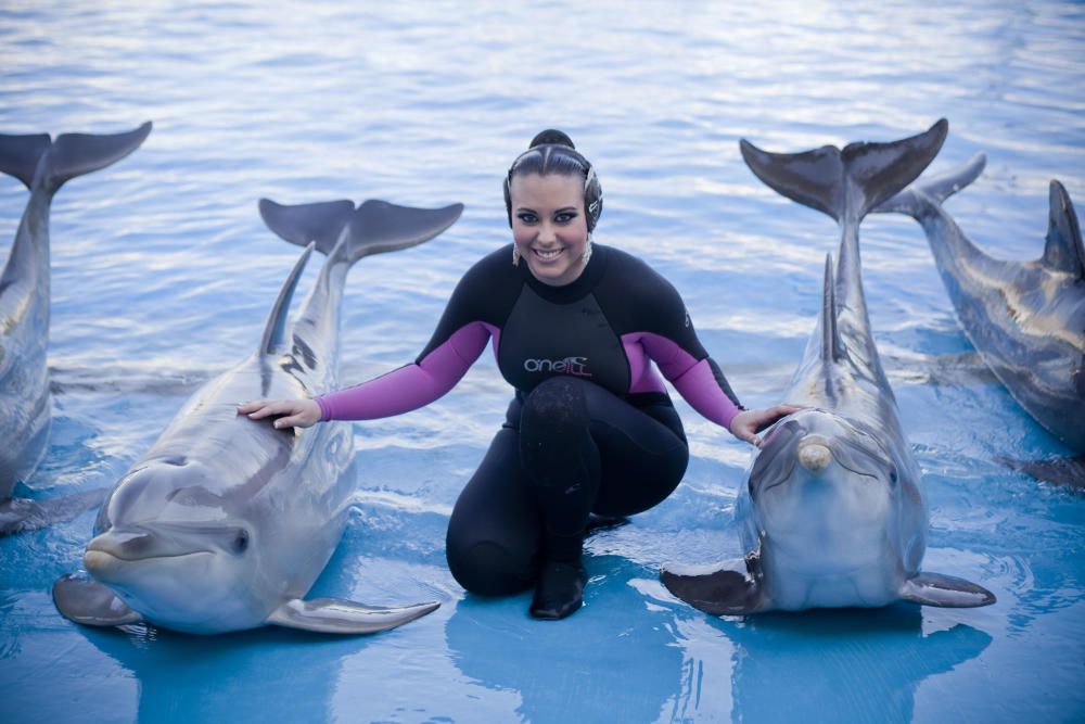 Posando con los delfines del Oceanogràfic. Peinetas incluidas.