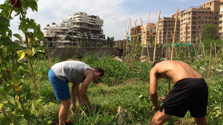 Los mercados agrícolas regresan a las urbes