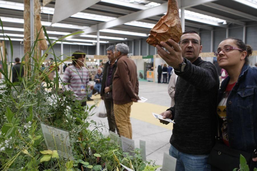 Feria Ecocultura 2016