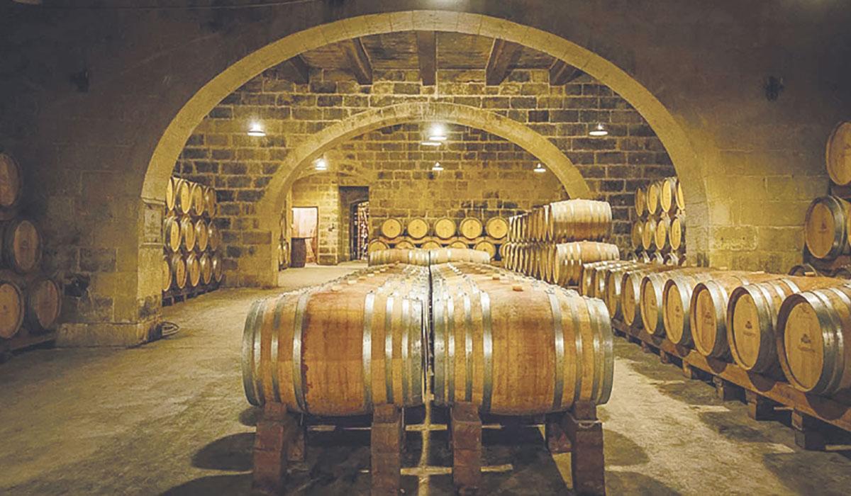 En las islas se producen excelentes caldos, muchos de ellos elaborados con uvas autóctonas que les dan variedad y calidad