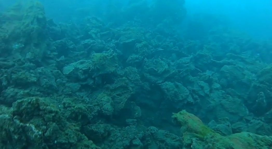 El fondo marino de la fajana tras la erupción del volcán de La Palma