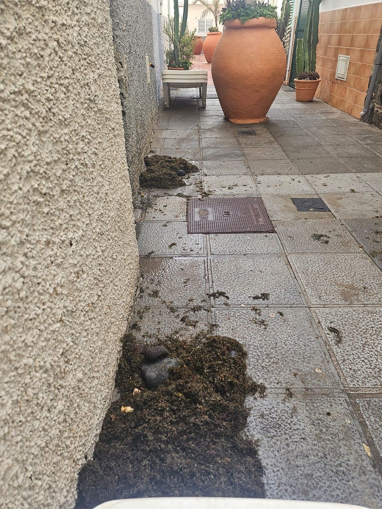 Limpieza intensiva en Ojos de Garza tras la acumulación de piedras, ceba y arena por la subida de la marea