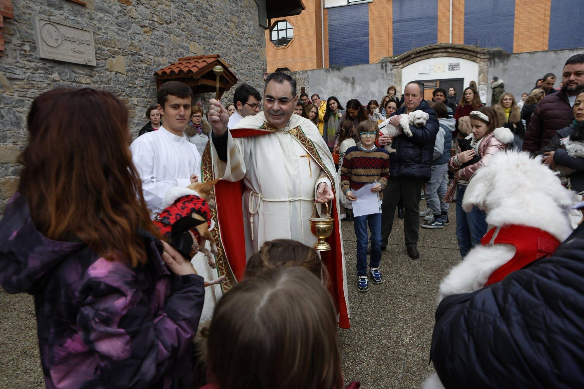 Bendición mascotas en Gijón en la parroquia de Viesques