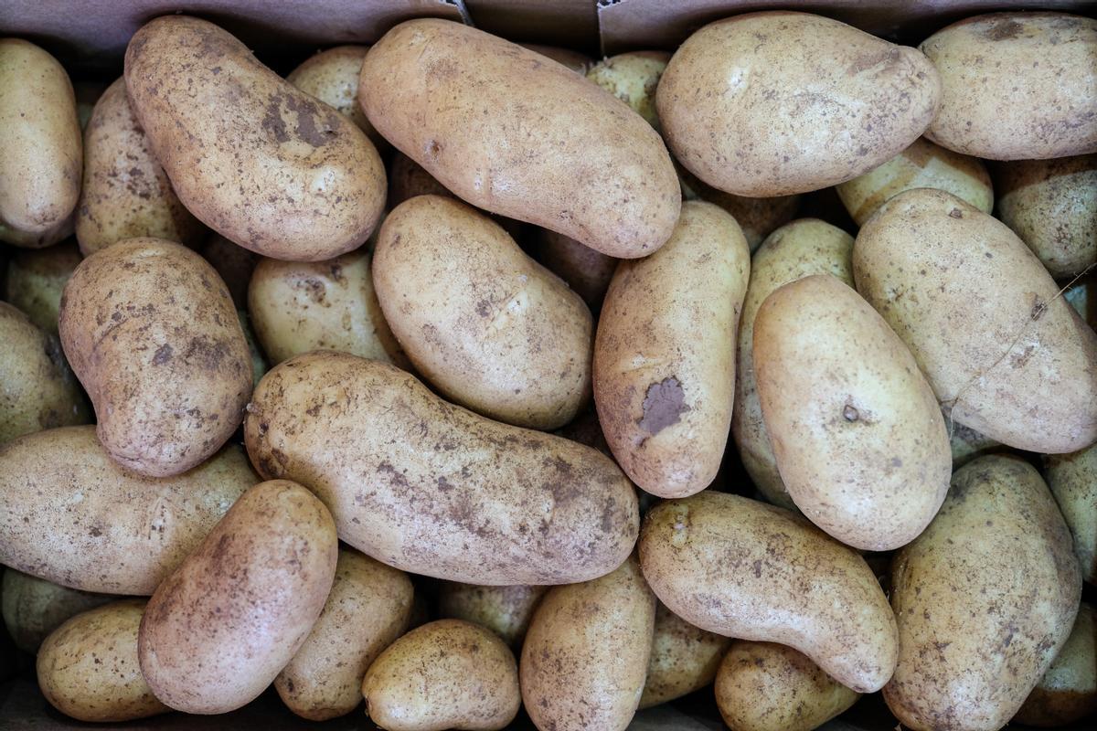 Patatas en el puesto Germans Barri de Mercabarna.