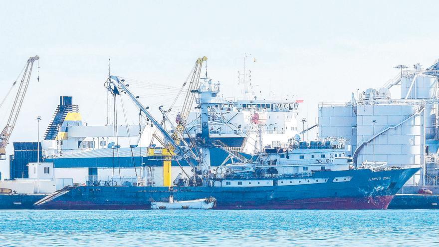 La ‘invasión’ asiática expulsa a los atuneros del Atlántico: «No es rentable»