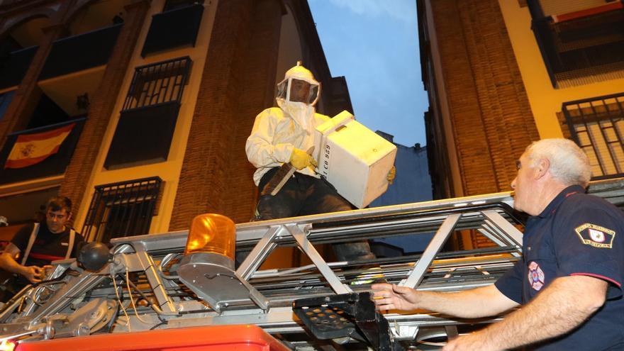 Los bomberos de Córdoba realizan más de quince salidas para retirar abejas
