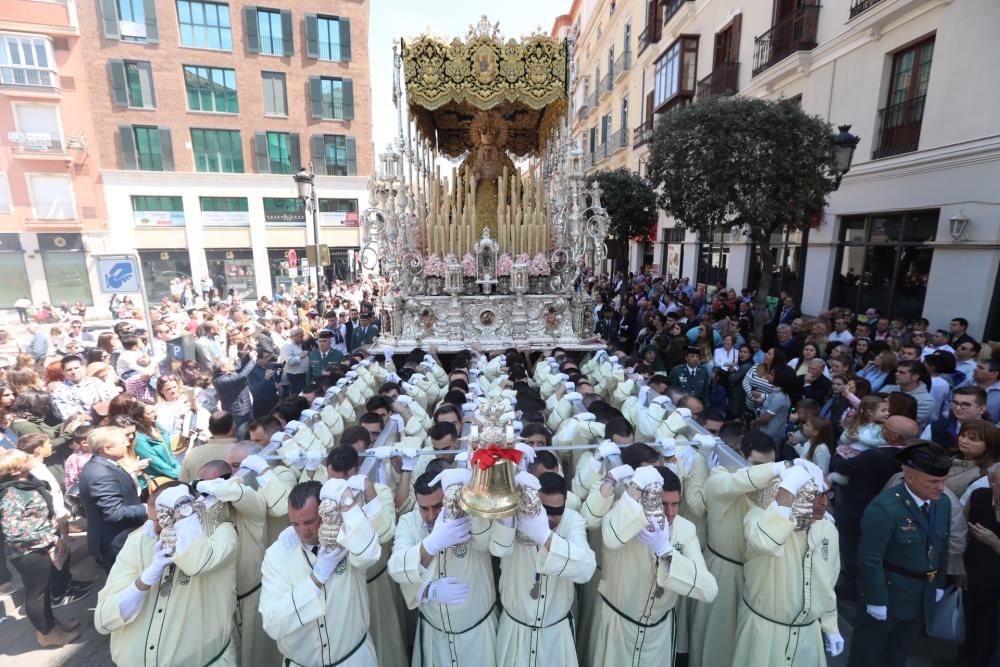 Domingo de Ramos | Lágrimas y Favores