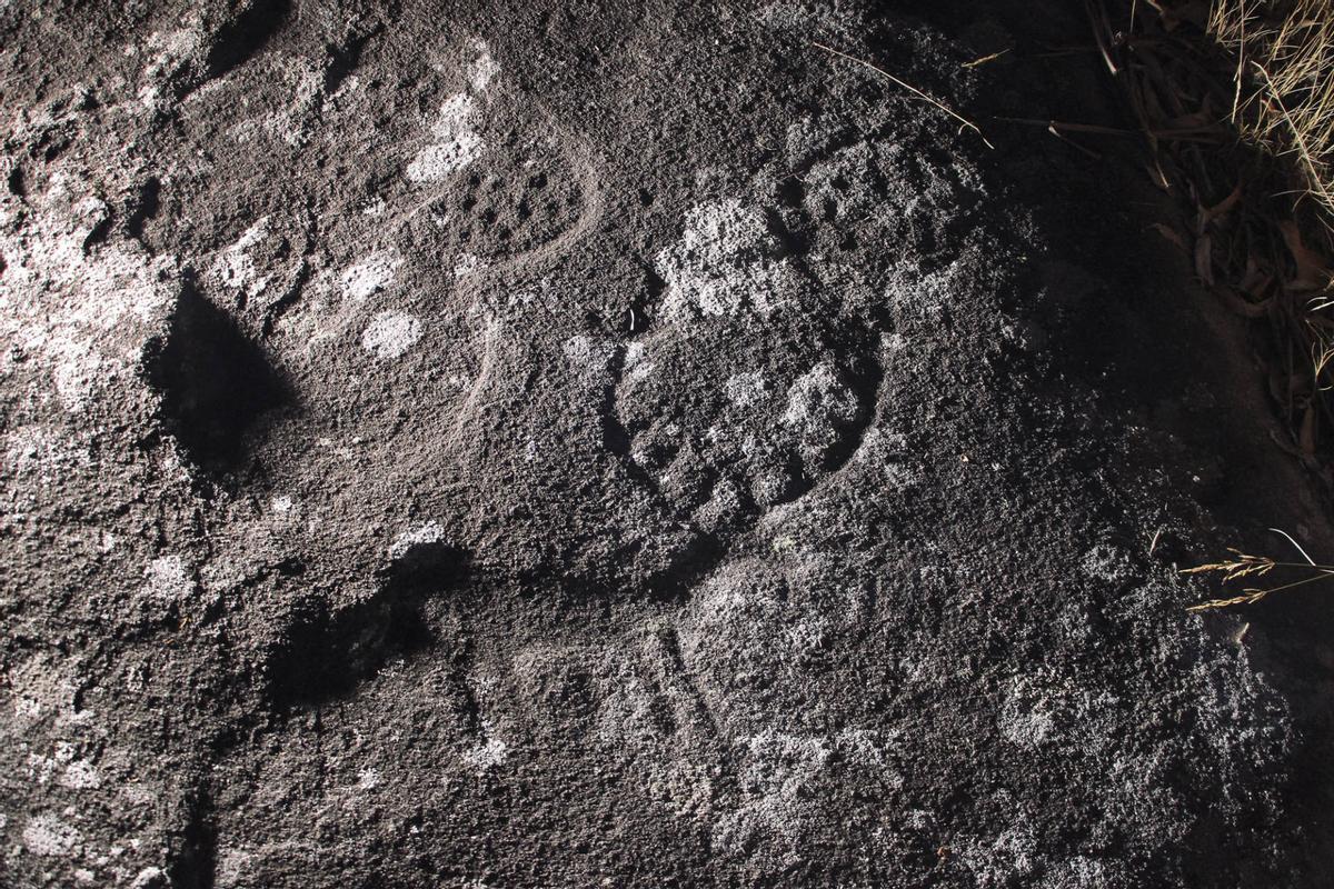 Abajo, detalle de un ciervo grabado en las rocas de Penedo Negro, en Ames