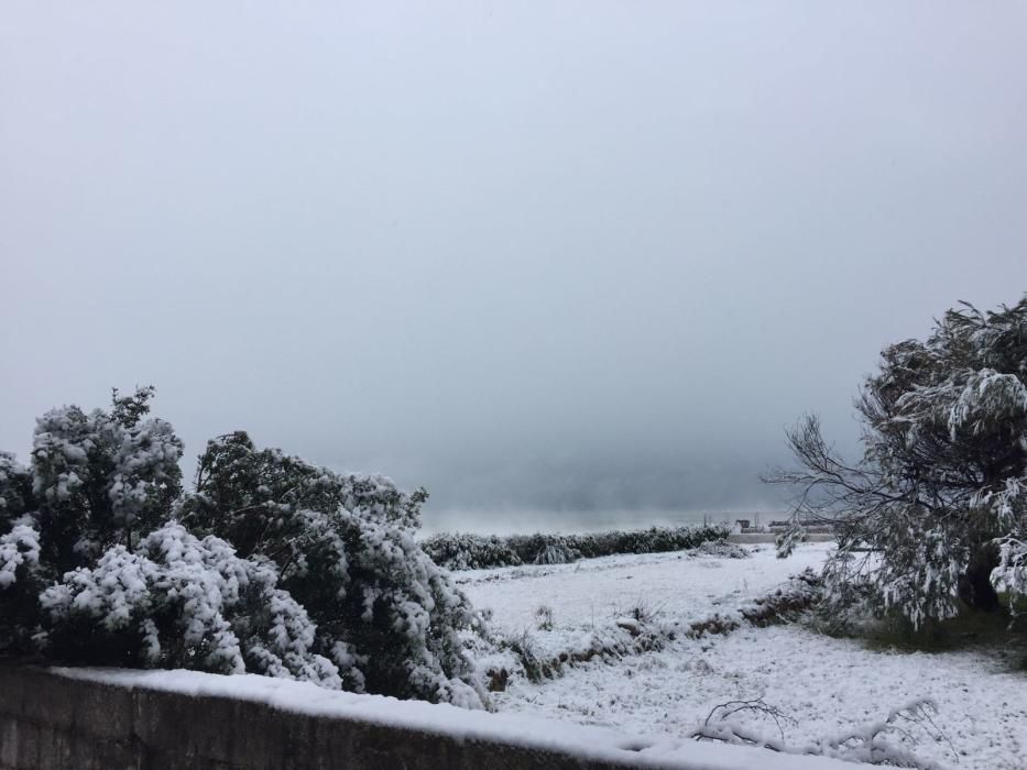 Nieve en Dénia.