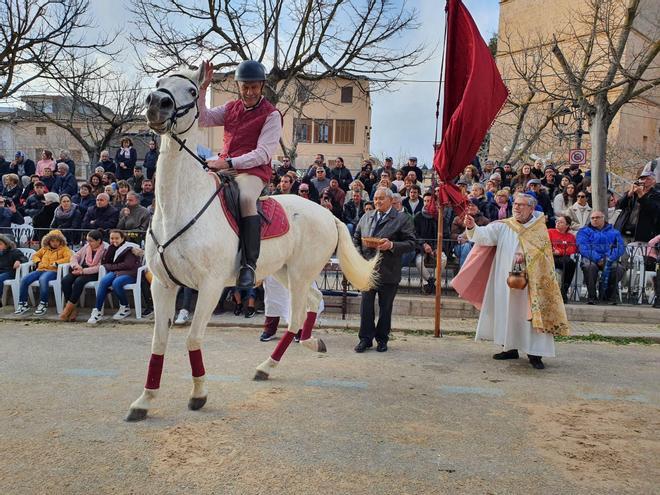 Sant Antoni 2023 | Muro presume de 'beneïdes'