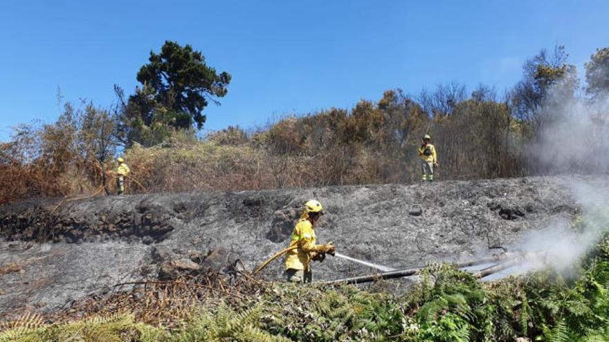 Miembros de las brigadas forestales trabajan en el conato originado en Cañeño, en las medianías de La Orotava.