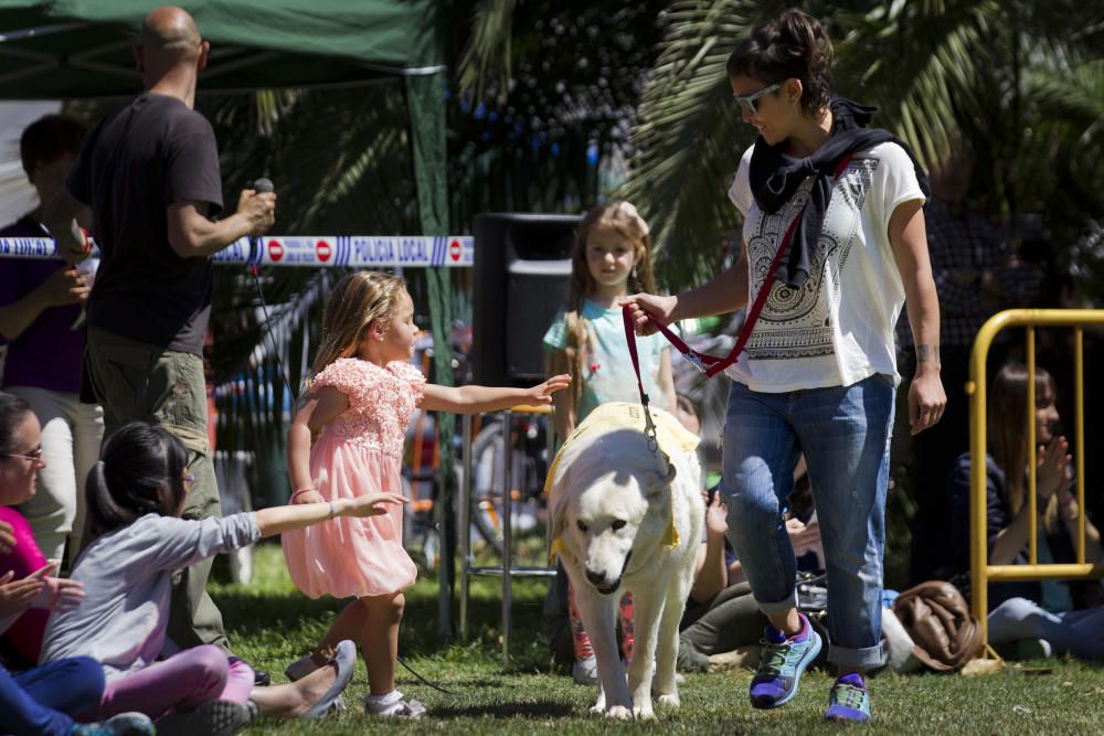 III Feria del Bienestar Animal en Valencia