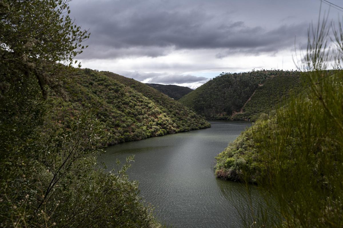 Galería | El peaje ambiental del puente de Cedillo