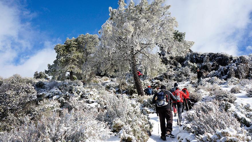 Ruta de Cerro Huenes.