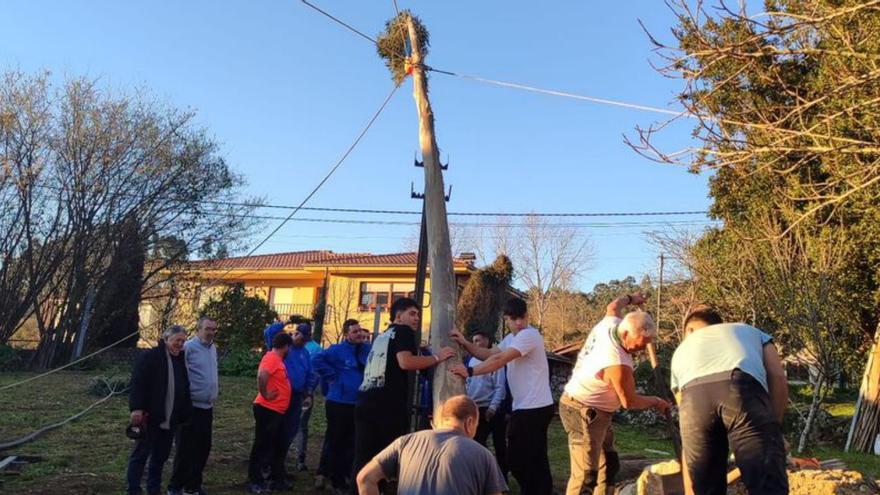 La plantación de la «joguera» en Bricia. | CEDIDA A LNE