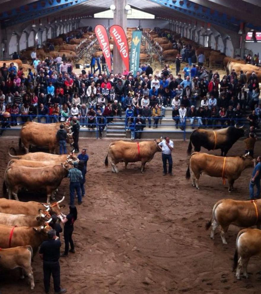 Cangas del Narcea apuesta por la esencia rural