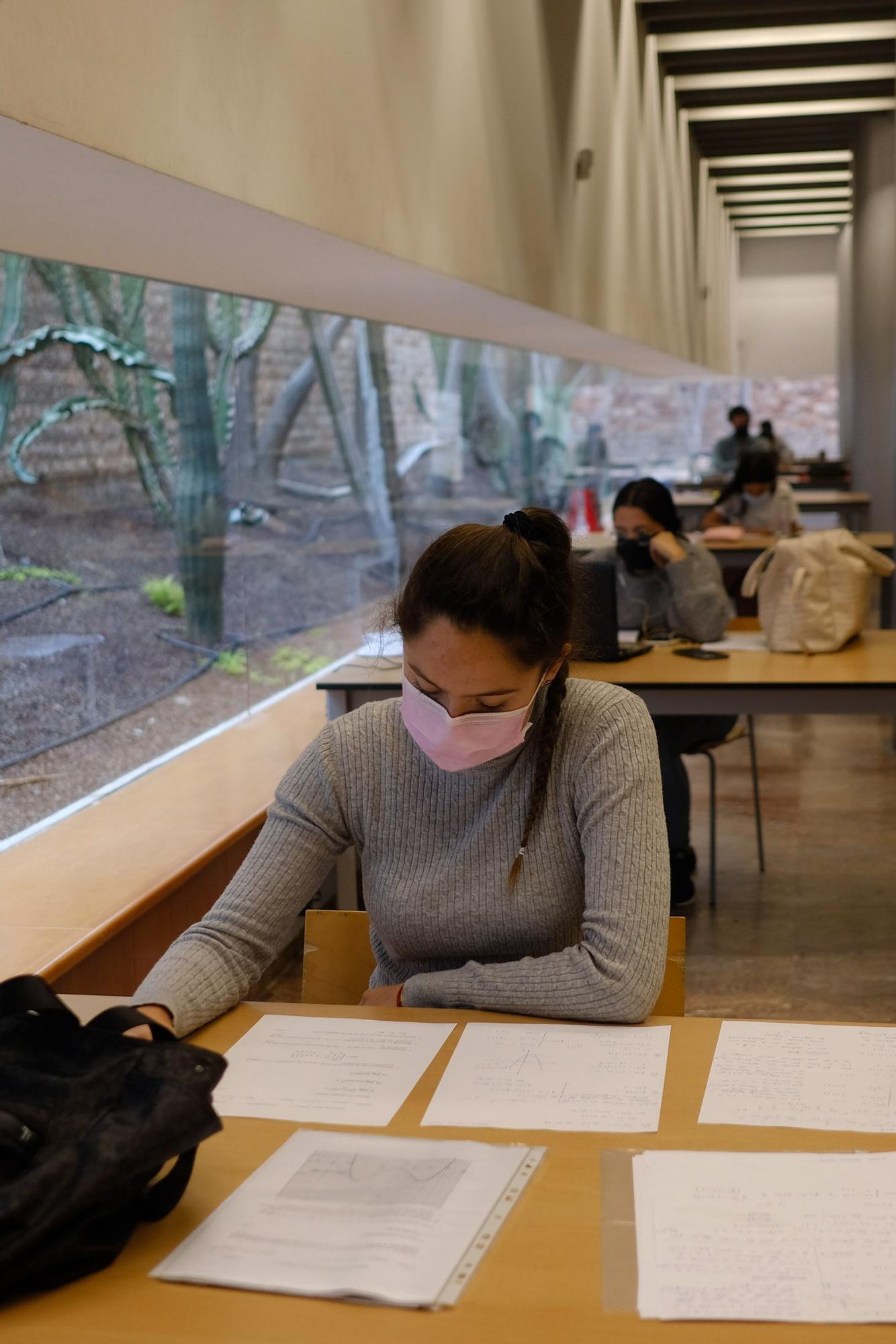 Así preparan los alumnos canarios la EBAU