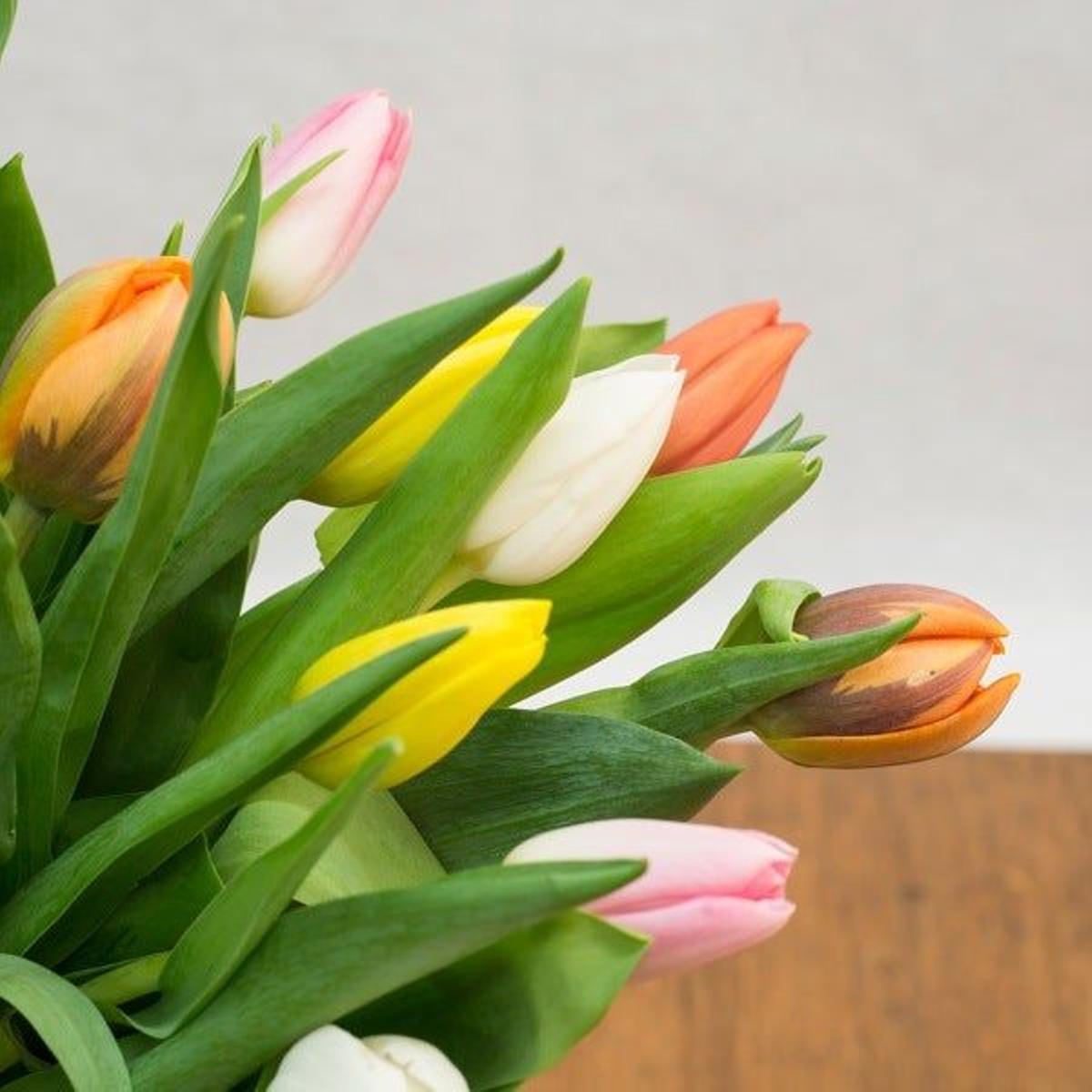 Un ramo de tulipanes