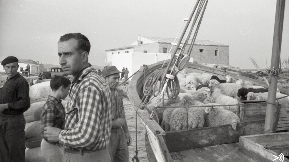 Galería: Formentera en 1958