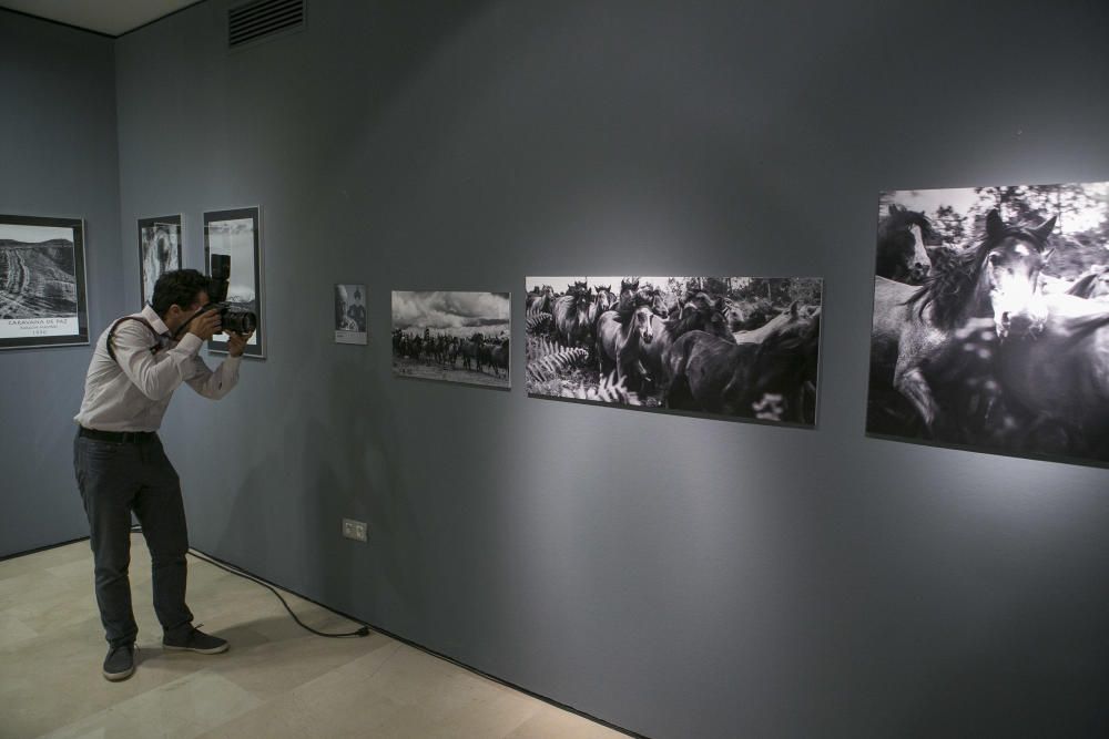 Imágenes de la exposición fotográfica En Plural en la Fundación Caja Mediterráneo