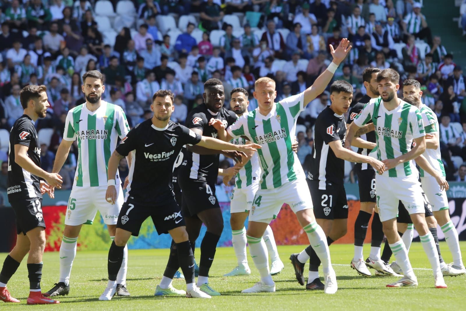 Córdoba CF-Elche, las imágenes del partido de LaLiga Hypermotion